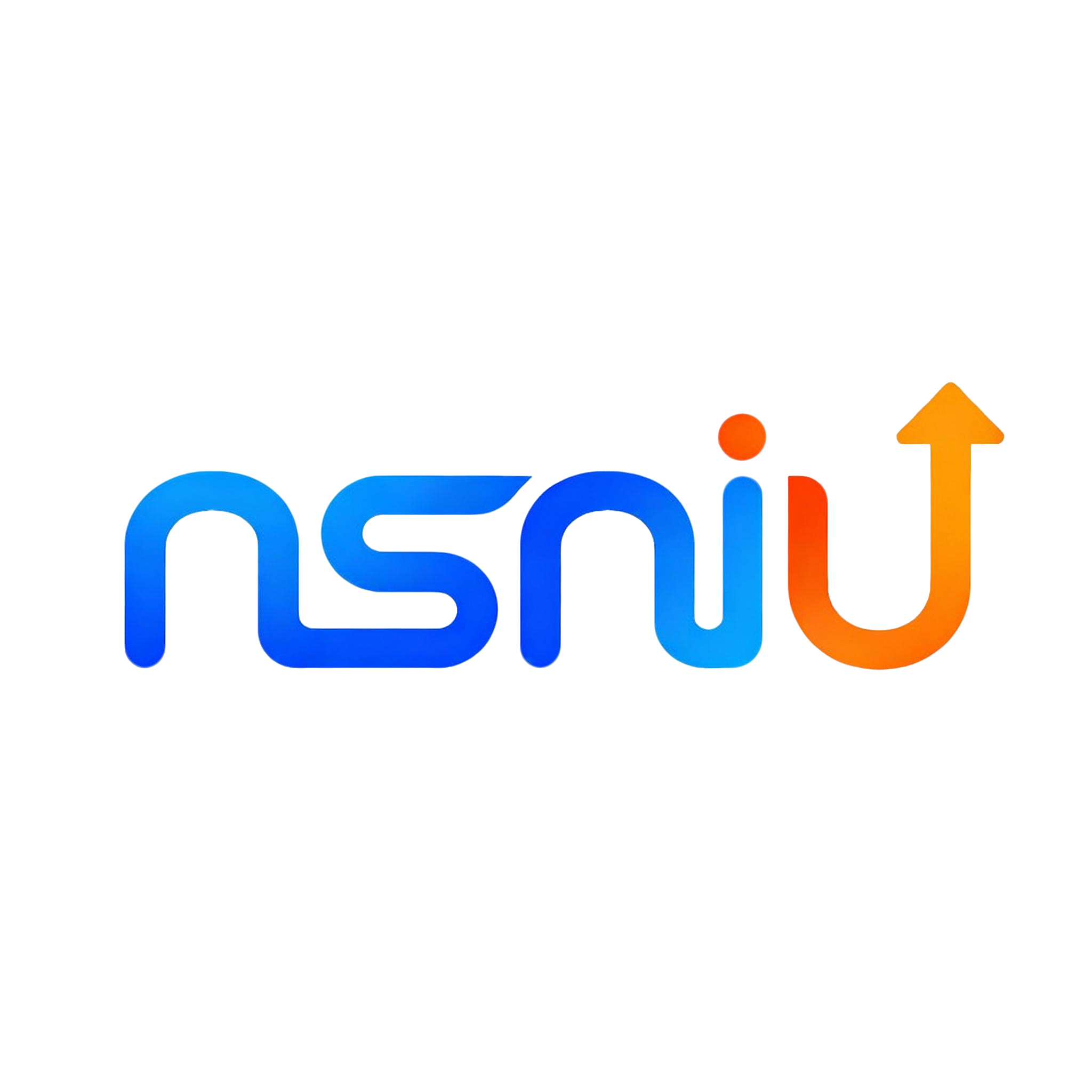 Nsniu官网管理系统